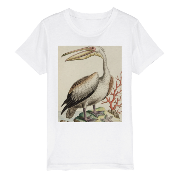 Organic Kids Crewneck T-shirt