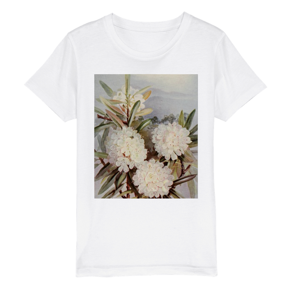 Organic Kids Crewneck T-shirt